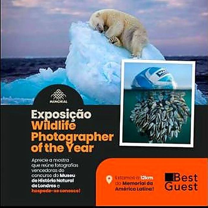 Campanha do Best Guest para a exposição Wildlife Photographer of the Year